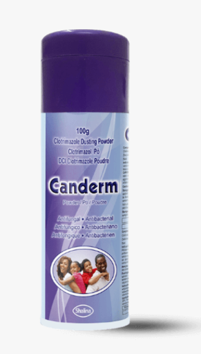 Canderm poudre petit